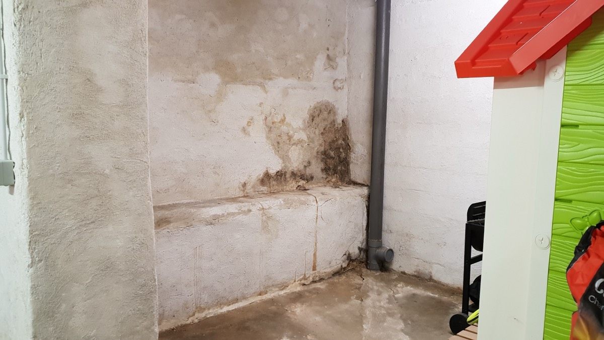 Infiltrations d'eau - Expertise humidité à Versailles